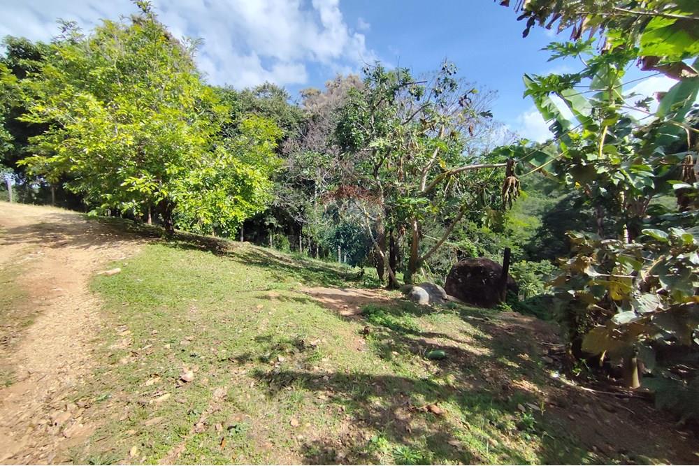 Chácara / Sítio / Fazenda - Venda - Itapira , São Paulo - 1751510168902.jpg - 690291085-364