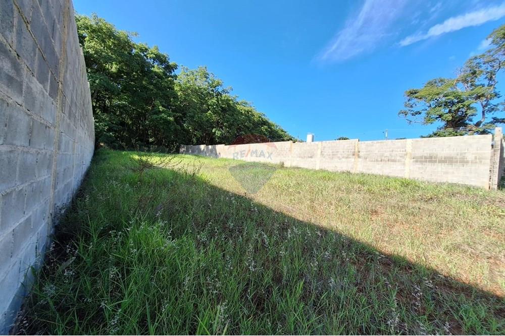 Terreno - Venda - Mogi Mirim , São Paulo - IMG-20241208-WA0061.jpg - 690751048-328