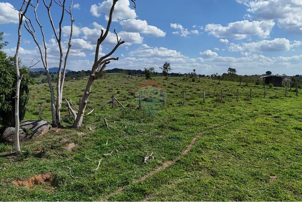 Chácara / Sítio / Fazenda - Venda - Socorro , São Paulo - DJI_20251121151435_0420_D.JPG - 690041041-39
