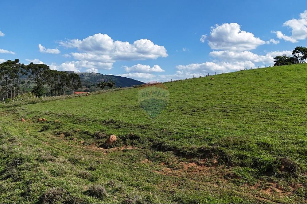 Chácara / Sítio / Fazenda - Venda - Socorro , São Paulo - DJI_20251121153130_0447_D.JPG - 690041041-39