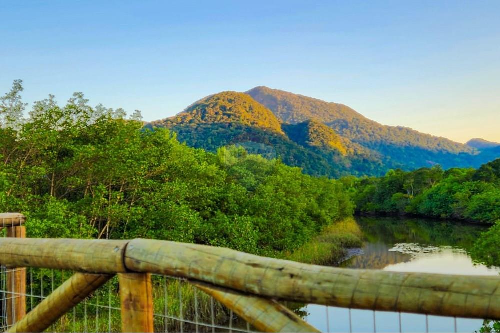 Ponto Comercial/ Loja - Alugar - Peruíbe , São Paulo - 6377003d-35ef-4626-8828-12067def0307.jpg - 691111001-18