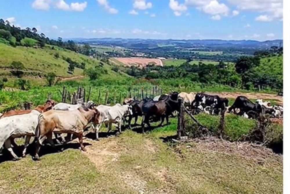 Chácara / Sítio / Fazenda - Venda - Bragança Paulista , São Paulo - Screenshot_20260224_150406_Photos~3 (1).jpg - 690141085-32