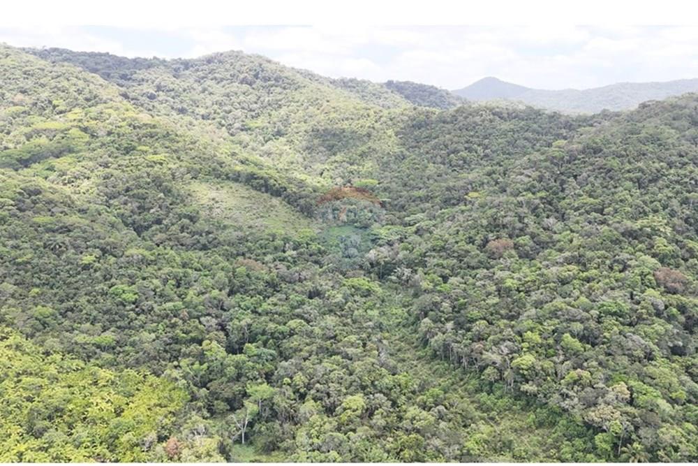 Fazenda - Venda - Pariquera-Açu , São Paulo - WhatsApp Image 2026-03-18 at 16.42.22 (2).jpeg - 690061038-24