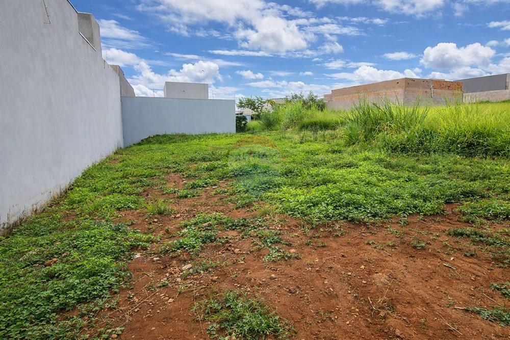 Terreno - Venda - Limeira , São Paulo - terreno_tratado_remax_02 marajoara jpg.jpg - 690741092-3