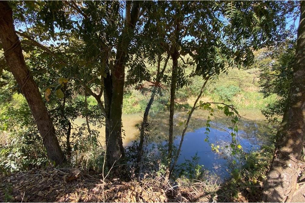 Chácara / Sítio / Fazenda - Venda - Jacutinga , Minas Gerais - WhatsApp Image 2025-08-06 at 14.30.45 (1).jpeg - 690291077-290