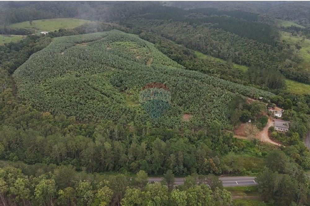 Fazenda - Venda - Jacupiranga , São Paulo - WhatsApp Image 2026-03-02 at 20.10.34.jpeg - 690061037-12