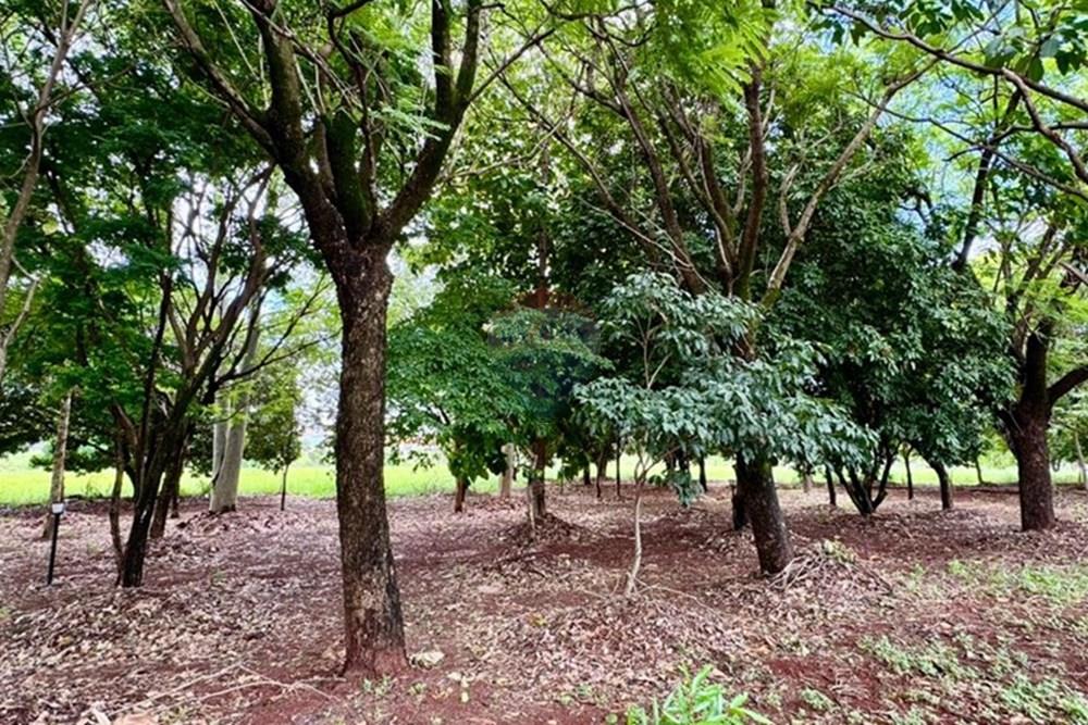 Casa - Venda - Santa Bárbara d'Oeste , São Paulo - IMG-20251213-WA0376.jpg - 690231111-9