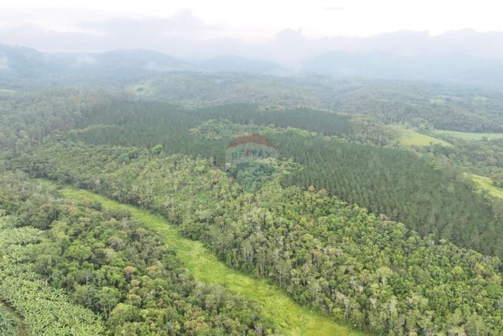 Fazenda - Venda - Jacupiranga , São Paulo - WhatsApp Image 2026-03-02 at 20.10.27.jpeg - 690061037-12