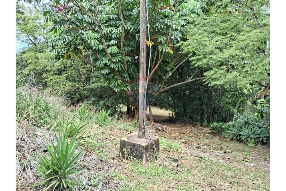 Chácara / Sítio / Fazenda - Venda - Valinhos , São Paulo - foto 8.jpg - 690851076-164