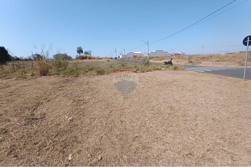 Terreno - Venda - Mogi Guaçu , São Paulo - WhatsApp Image 2025-07-22 at 11.32.28.jpeg - Quintal - 690521005-197