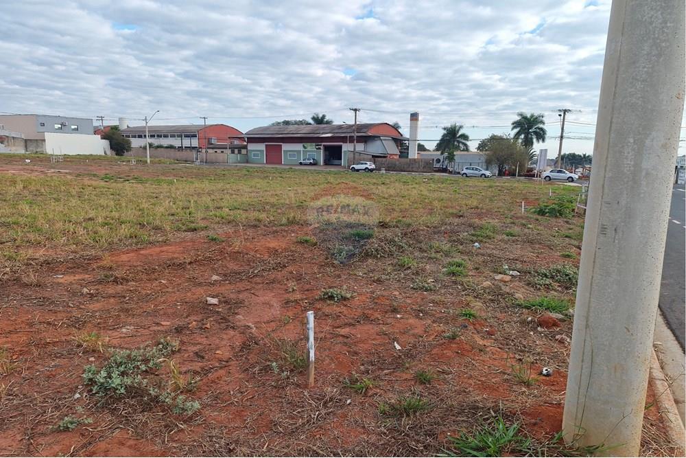 Terreno - Venda - Mogi Mirim , São Paulo - 20250710_082725.jpg - 690751034-116