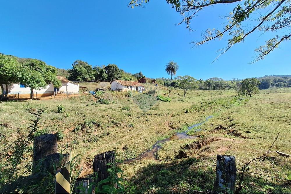 Chácara / Sítio / Fazenda - Venda - Itapira , São Paulo - 20250626_110600.jpg - 690751048-290