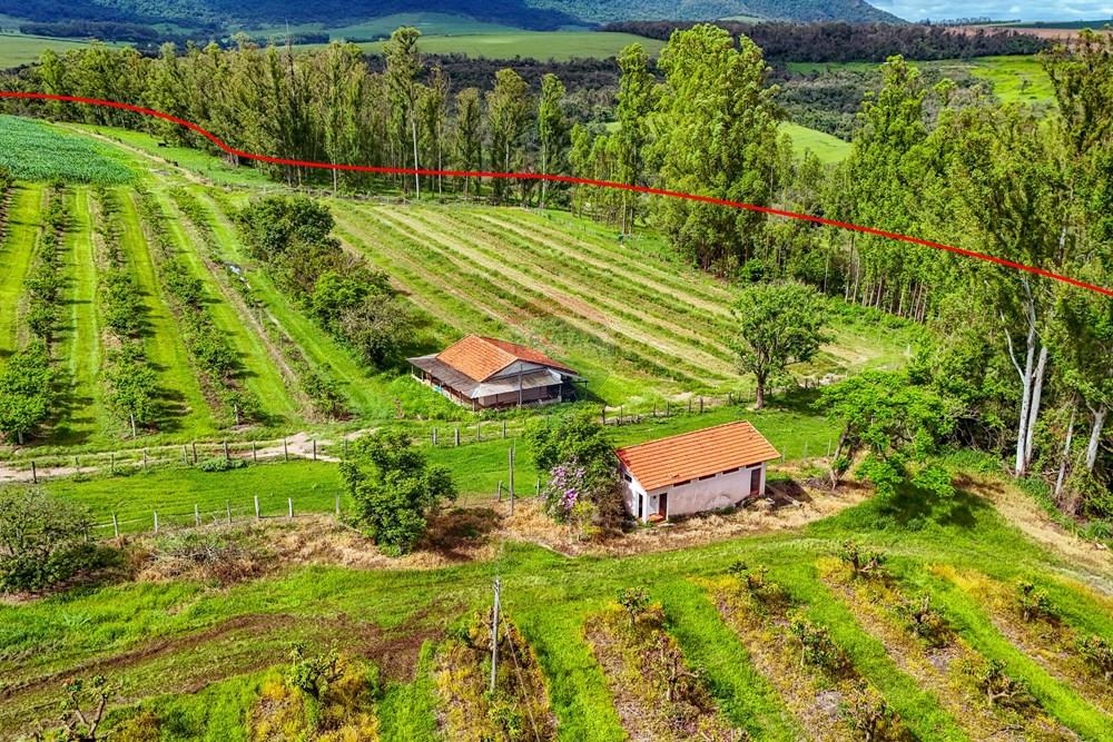 Fazenda - Venda - Analândia , São Paulo - Tratada - Drone-51.jpg - 690691016-305