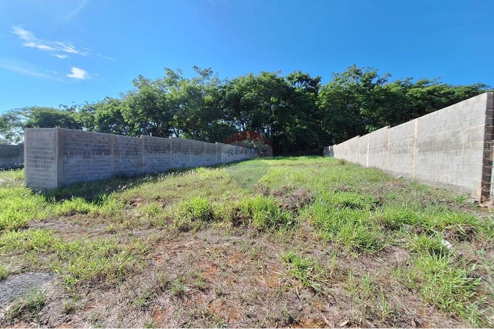 Terreno - Venda - Mogi Mirim , São Paulo - IMG-20241208-WA0065.jpg - 690751048-328