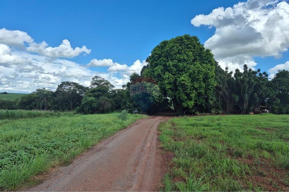 Terreno - Venda - Piracicaba , São Paulo - WhatsApp Image 2026-02-13 at 08.44.42 (1).jpeg - 690571051-28