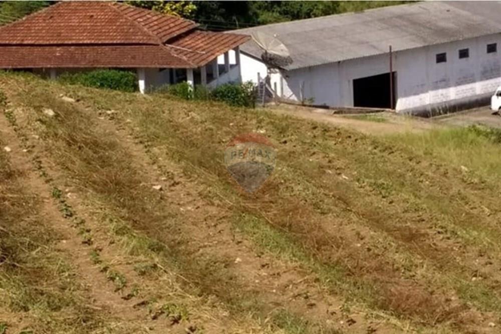 Chácara / Sítio / Fazenda - Venda - São Sebastião da Grama , São Paulo - WhatsApp Image 2026-02-28 at 11.12.06 (1).jpeg - 690681090-50