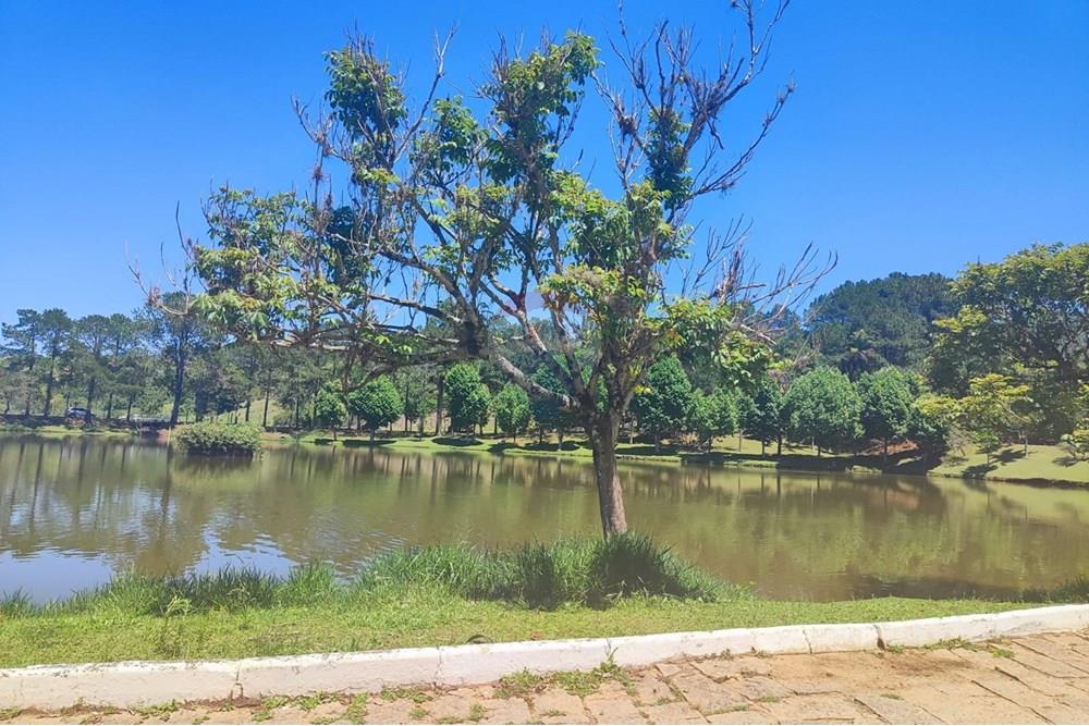 Terreno - Venda - Itatiba , São Paulo - Imagem do WhatsApp de 2025-12-14 à(s) 10.01.46_15bc56cc.jpg - 691131023-2