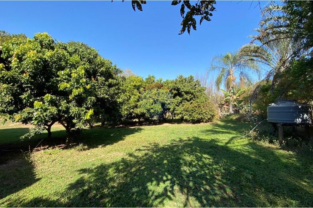 Chácara / Sítio / Fazenda - Venda - Jacutinga , Minas Gerais - WhatsApp Image 2025-08-06 at 14.30.59 (1).jpeg - 690291077-290