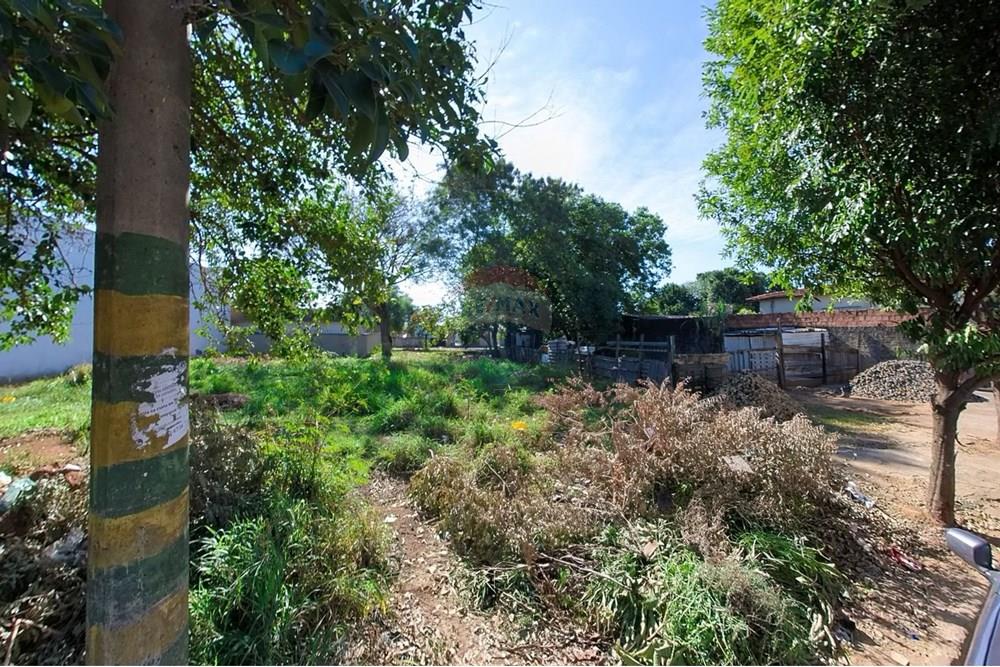 Terreno - Venda - Araras , São Paulo - WhatsApp Image 2025-06-23 at 20.22.51.jpeg - 690691060-24