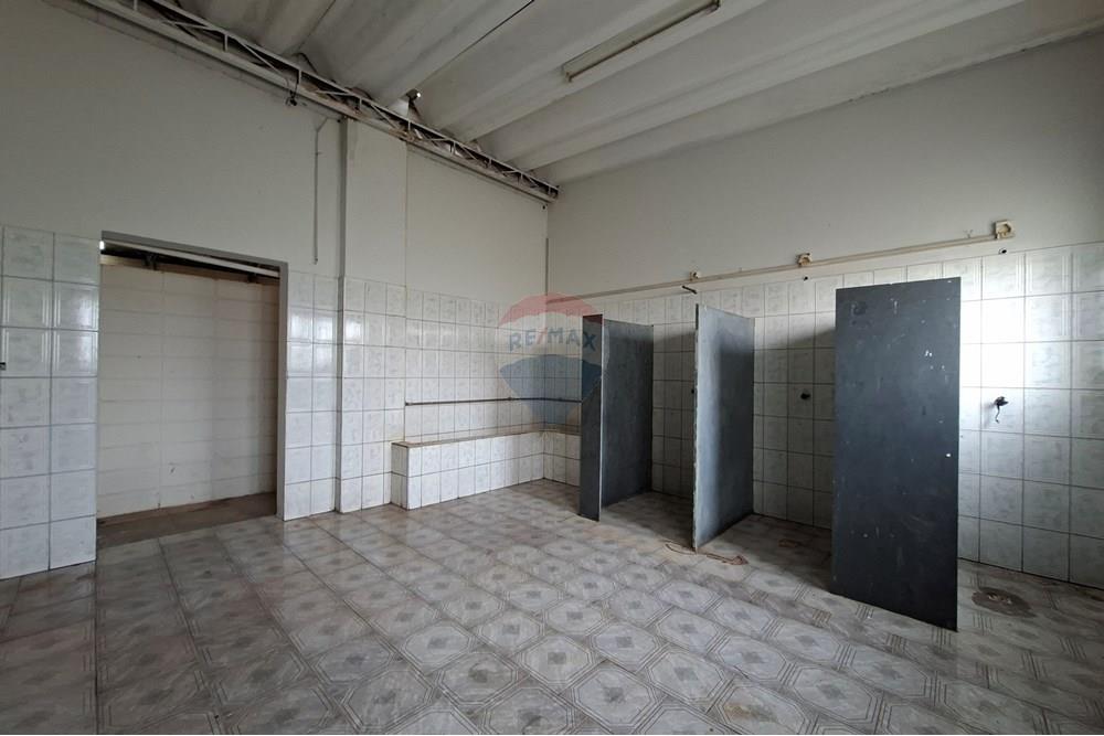 Galpão - Alugar - Mogi Mirim , São Paulo - 20251028_153547.jpg - 690751049-275