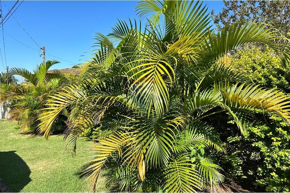 Casa de Condomínio - Venda - Itupeva , São Paulo - 9.jpeg - 690801043-72