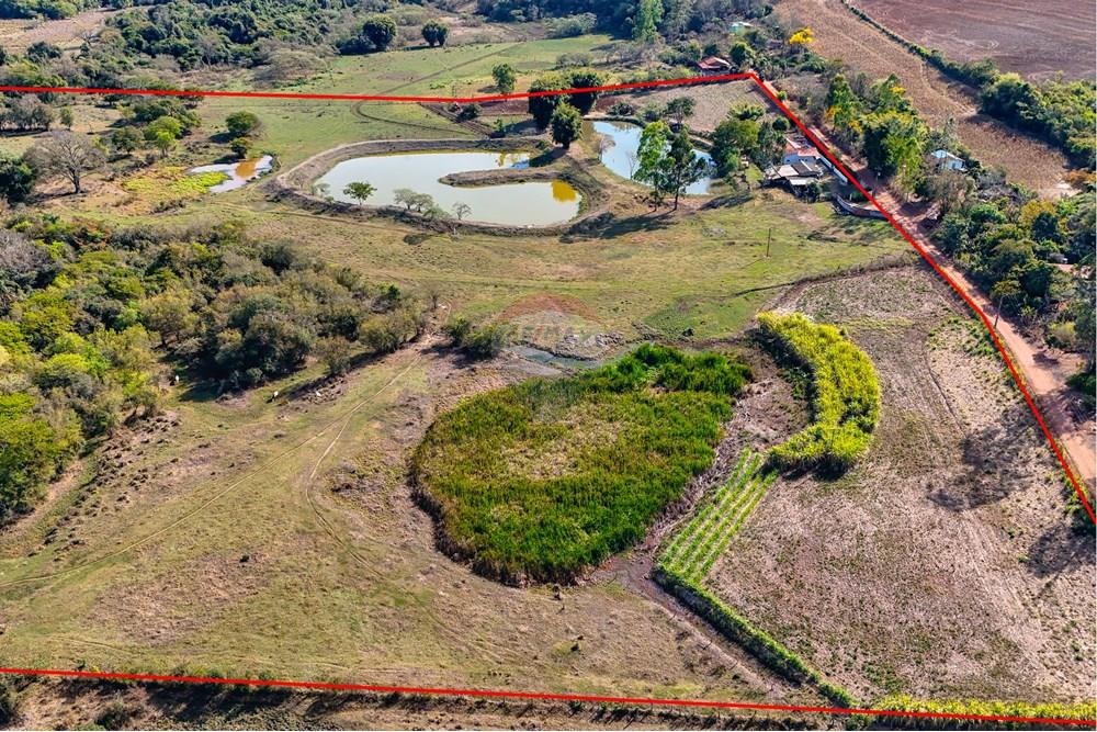 Chácara / Sítio / Fazenda - Venda - Santa Cruz da Conceição , São Paulo - Tratada-16.jpg - 690481001-177