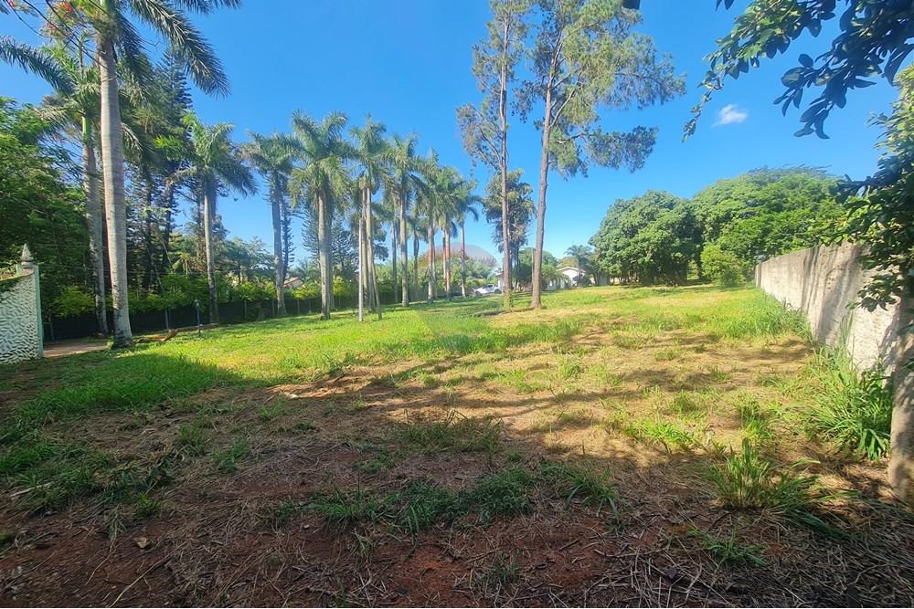 Agro - Alugar - Artur Nogueira , São Paulo - 20251120_155611.jpg - 690671009-93