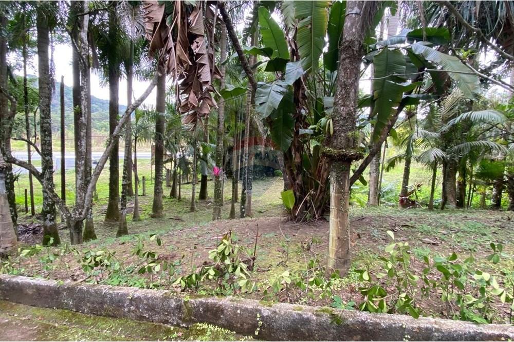 Fazenda - Venda - Juquiá , São Paulo - WhatsApp Image 2025-08-14 at 15.14.52 (7).jpeg - 690061038-11