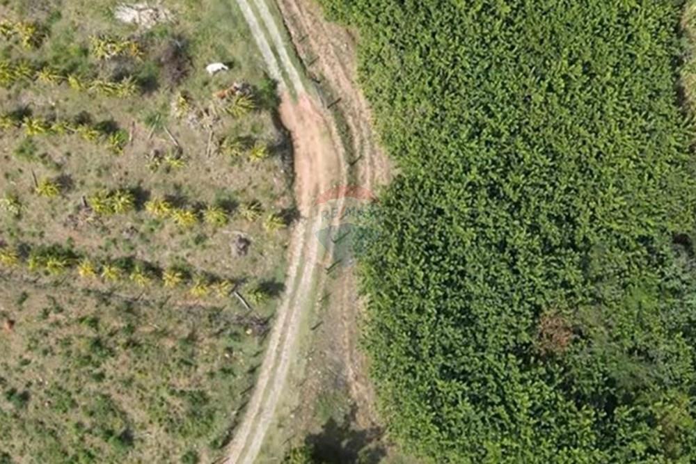 Chácara / Sítio / Fazenda - Venda - Itapira , São Paulo - IMG-20250713-WA0599.jpg - 690291085-364