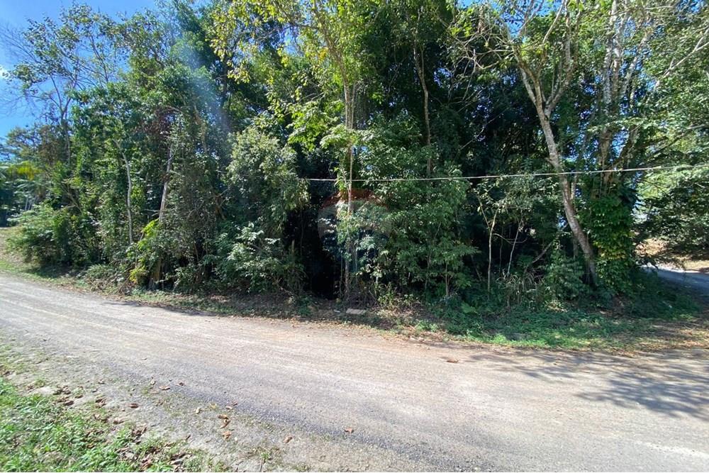 Terreno - Venda - Registro , São Paulo - Imagem do WhatsApp de 2025-09-03 à(s) 13.09.33_f95c1161.jpg - 690061045-8