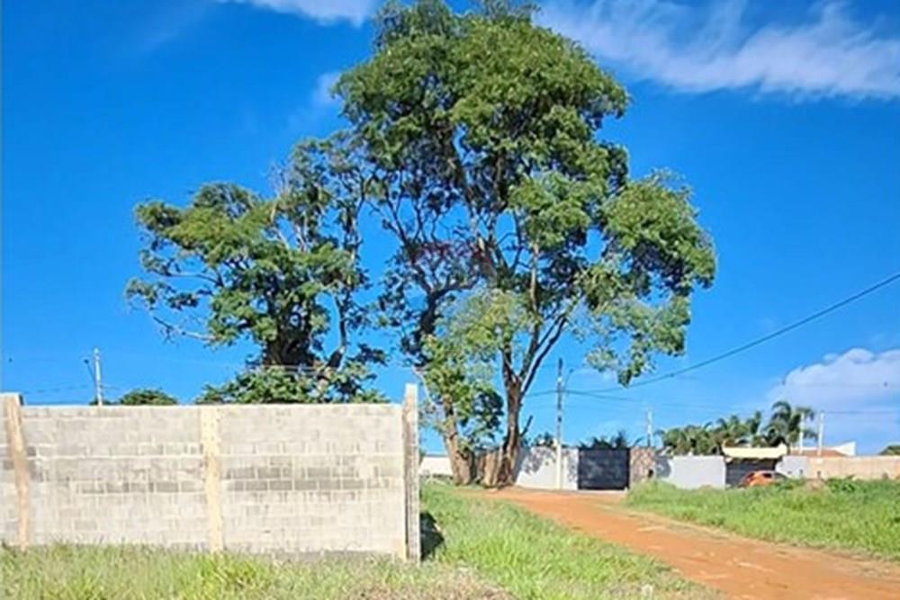 Terreno - Venda - Mogi Mirim , São Paulo - IMG-20241209-WA0036.jpg - 690751048-328