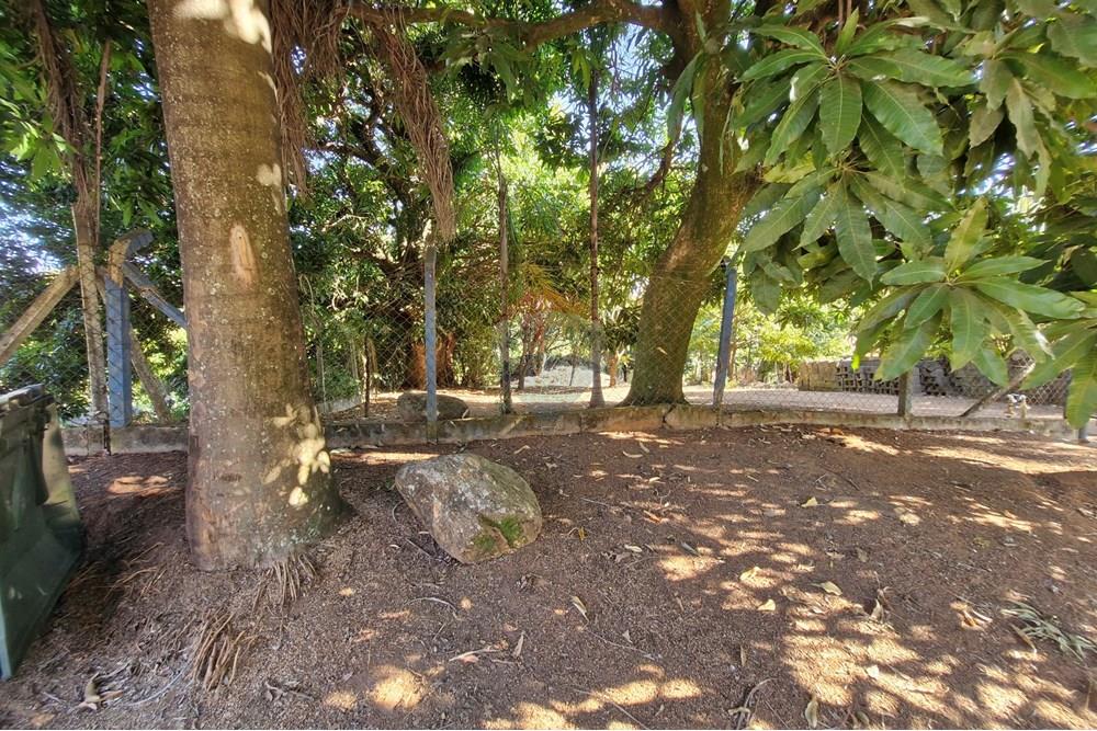 Terreno - Venda - Jaguariúna , São Paulo - 20250814_152852.jpg - 690671008-327