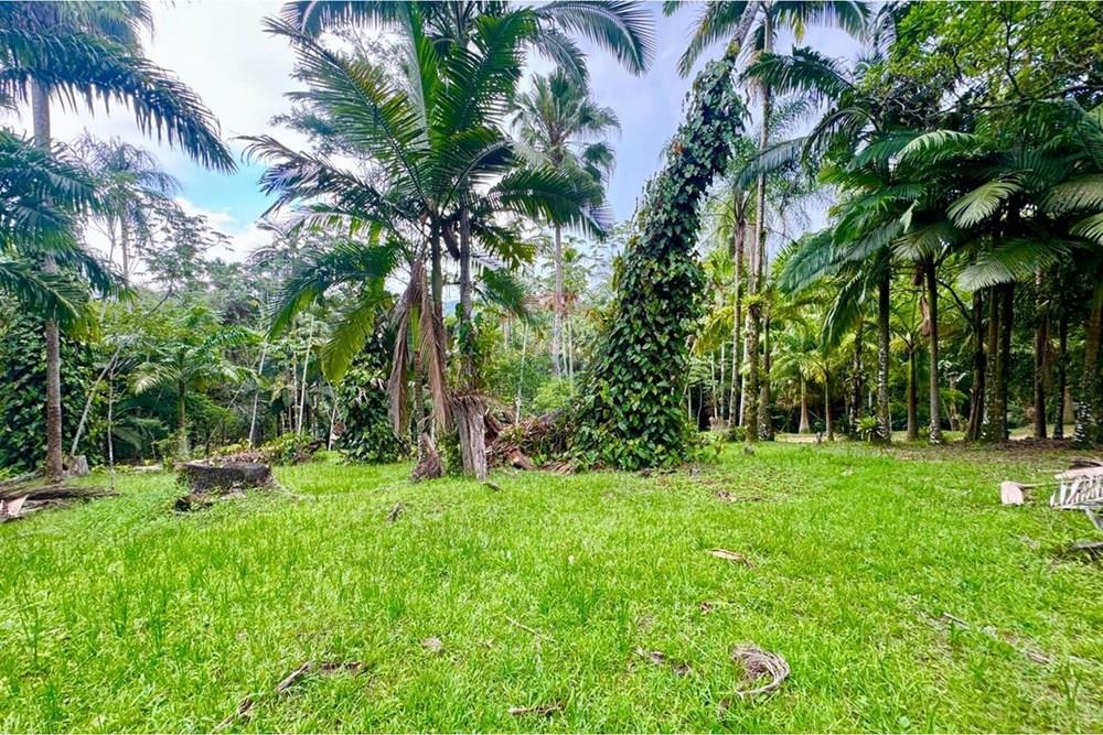 Terreno - Venda - Peruíbe , São Paulo - WhatsApp Image 2026-01-15 at 14.40.39 (3).jpeg - 691111009-61