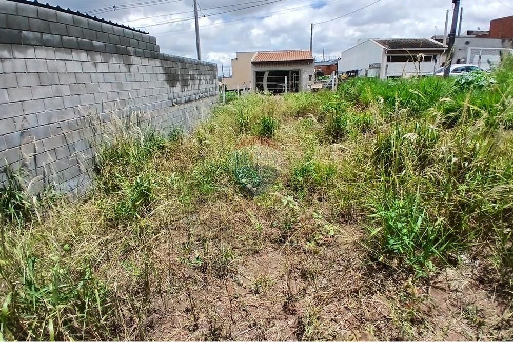 Terreno - Venda - Americana , São Paulo - 20260226_124501.jpg - 691071037-3