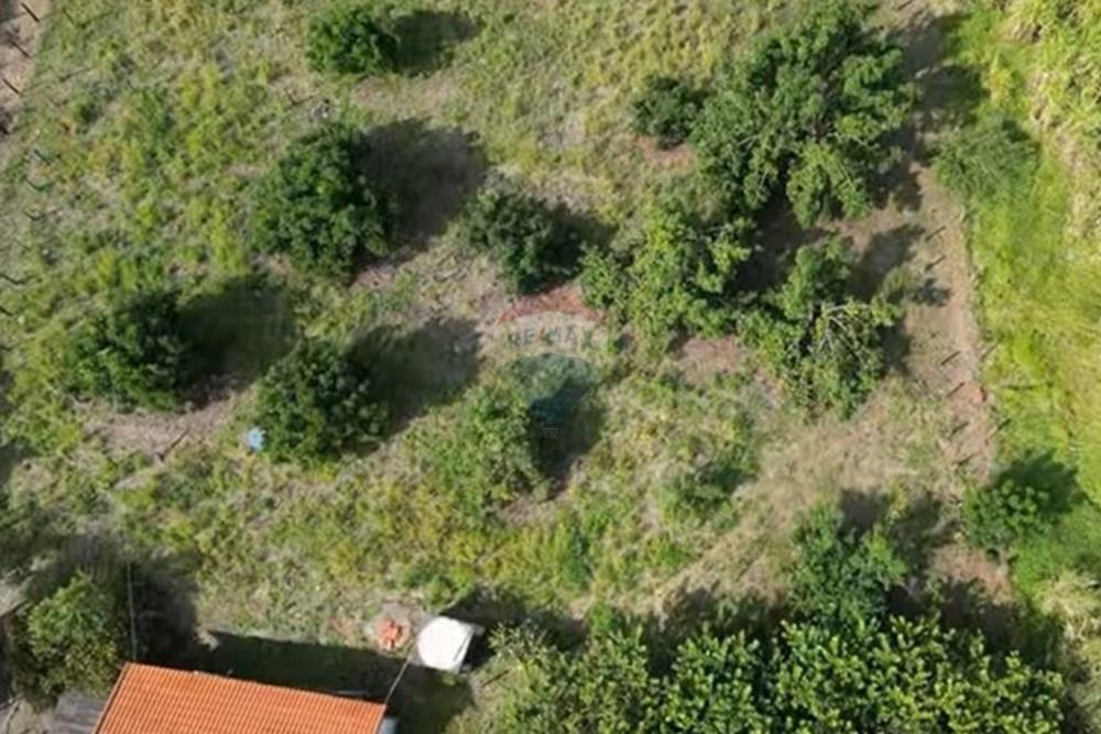 Chácara / Sítio / Fazenda - Venda - Itapira , São Paulo - IMG-20250713-WA0604.jpg - 690291085-364