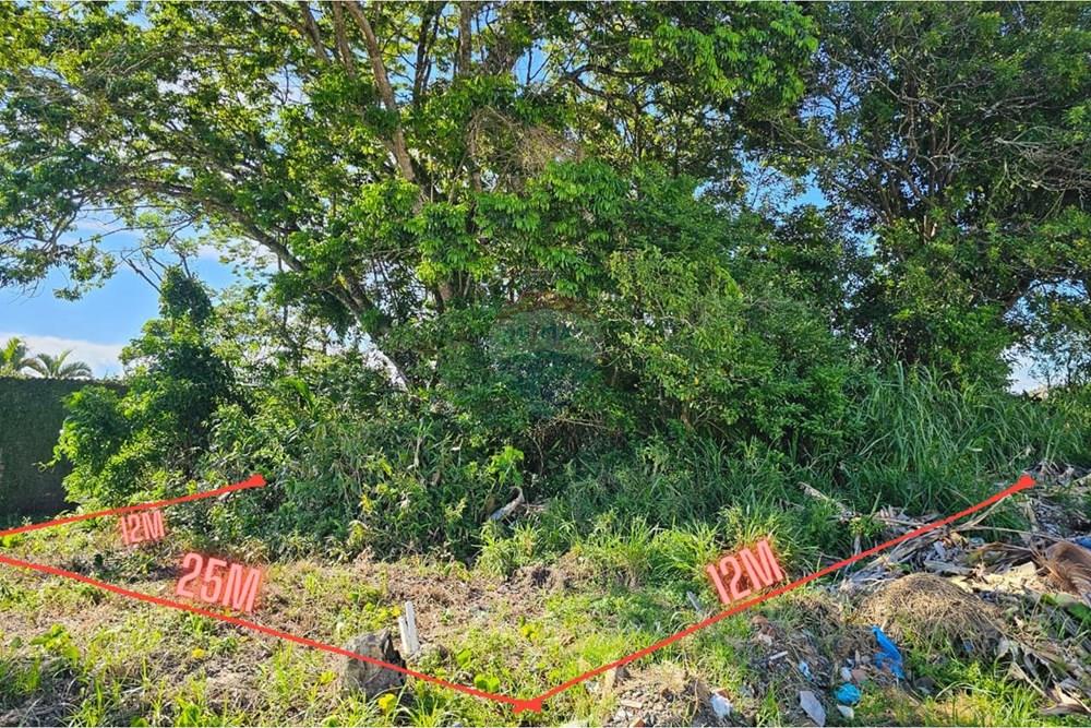 Terreno - Venda - Peruíbe , São Paulo - 25m.jpg - 691111010-108