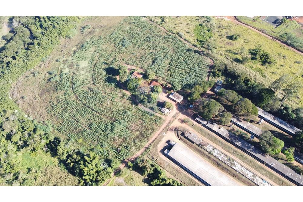 Chácara / Sítio / Fazenda - Venda - Conchal , São Paulo - DJI_0236.JPG - 690751019-291