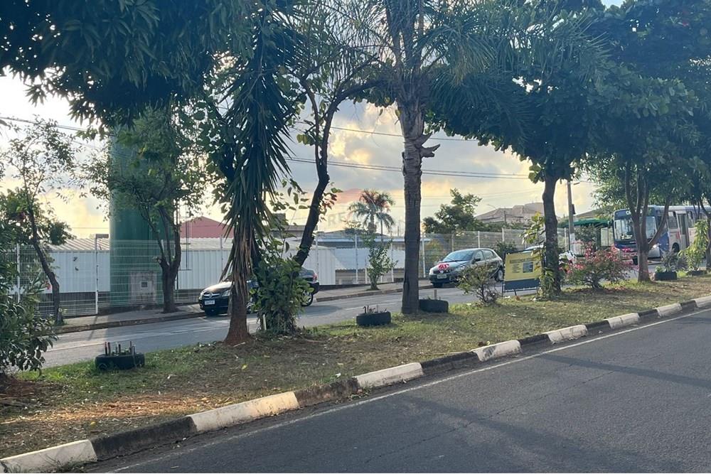 Terreno - Venda - Paulínia , São Paulo - WhatsApp Image 2025-06-12 at 10.50.08.jpeg - 690511143-79