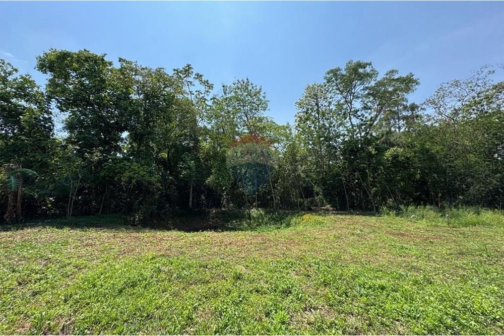 Terreno - Venda - Estiva Gerbi , São Paulo - WhatsApp Image 2025-10-18 at 11.25.57 (2).jpeg - 690521005-176