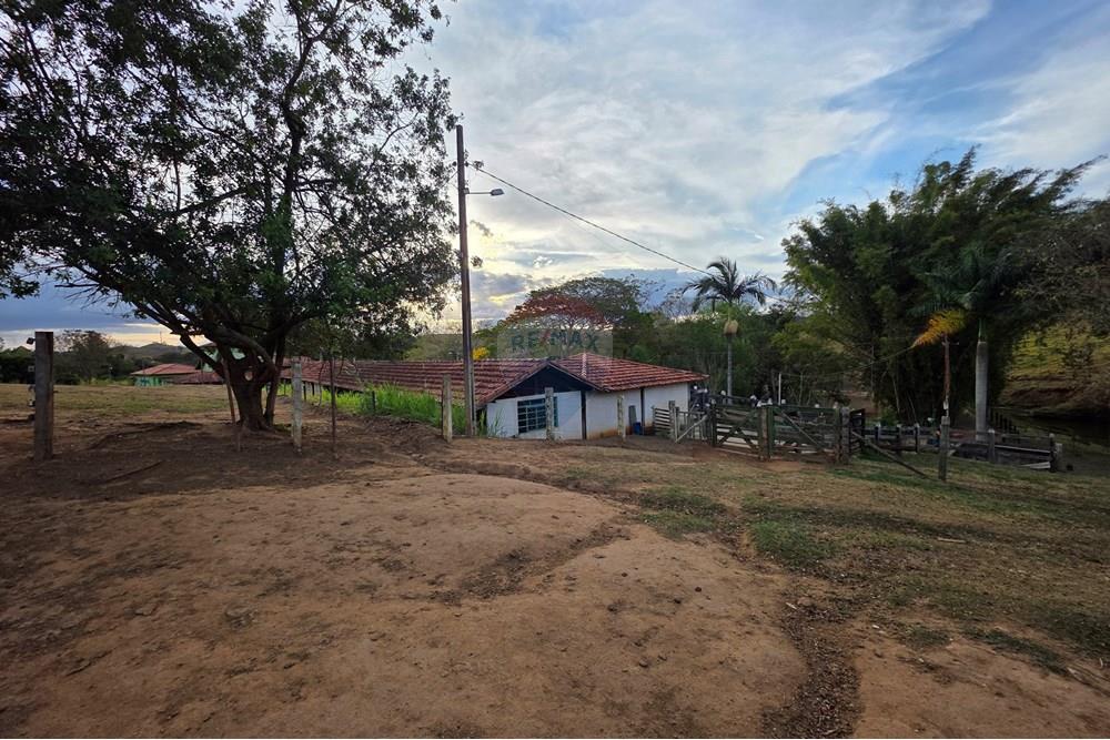 Chácara / Sítio / Fazenda - Venda - Itapira , São Paulo - 20250902_172144.jpg - 690521005-184