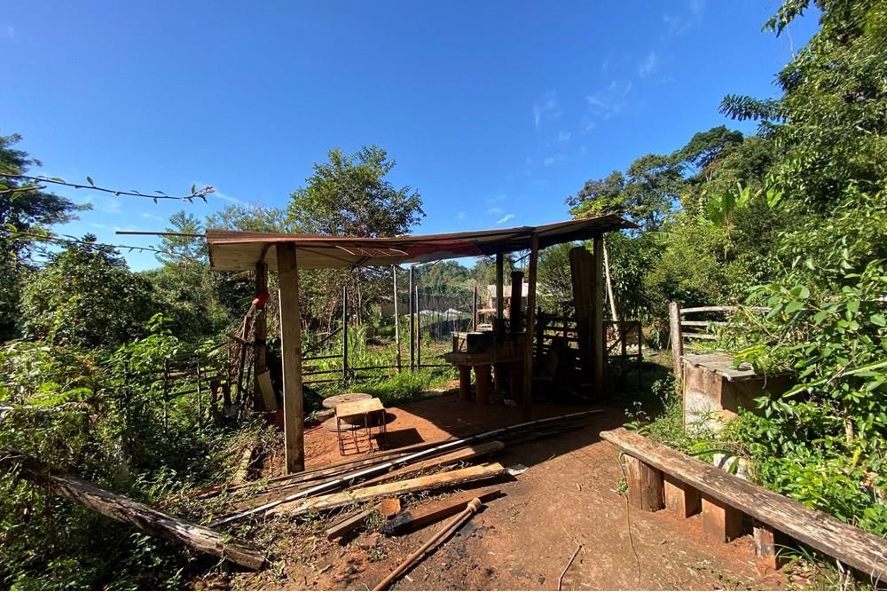 Terreno - Venda - Mogi Mirim , São Paulo - IMG_6557.JPEG - 690281041-98