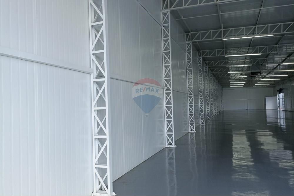 Galpão - Alugar - Holambra , São Paulo - IMG_20251121_152726.jpg - 690671057-11