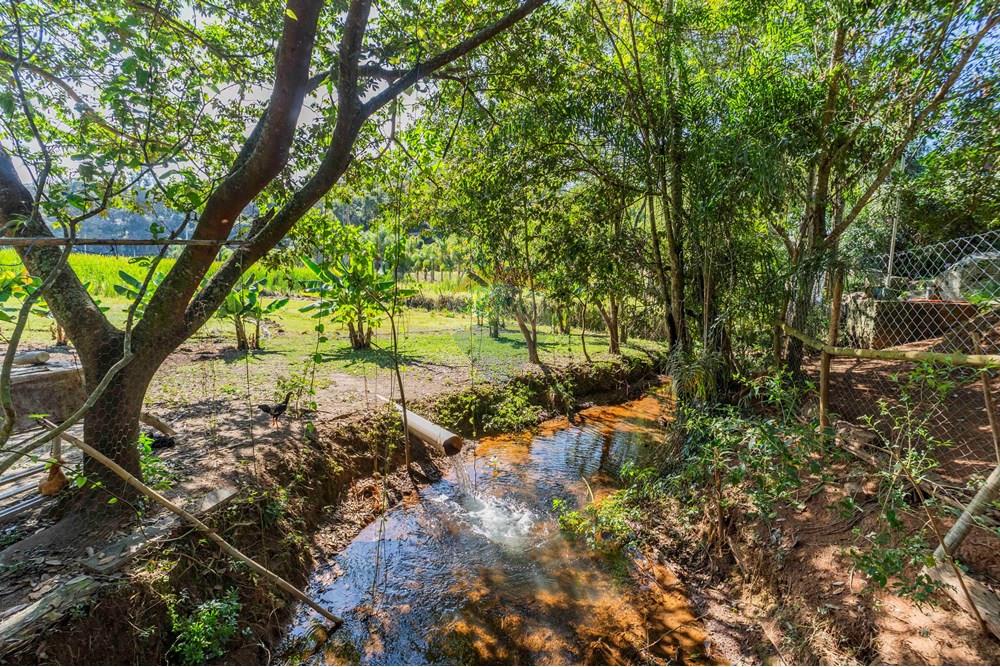 Chácara / Sítio / Fazenda - Venda - Itatiba , São Paulo - foto imobiliarias- brmaker00-341.jpg - 690661026-143