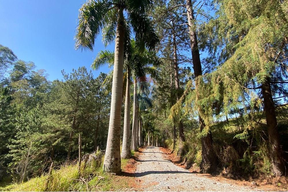 Chácara / Sítio / Fazenda - Venda - Joanópolis , São Paulo - 6b63b6ea-7fa1-4746-af80-7d4374287160.jpeg - 690041107-19