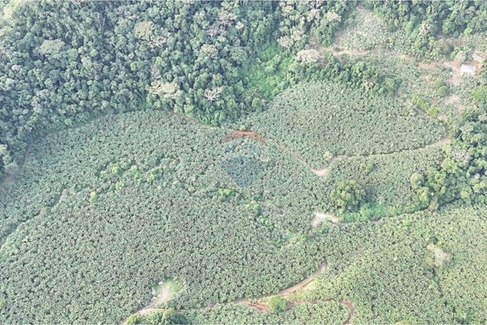 Fazenda - Venda - Miracatu , São Paulo - WhatsApp Image 2025-06-02 at 19.48.29.jpeg - 690061038-8