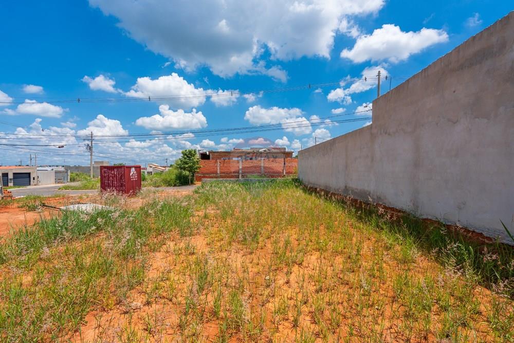 Terreno - Venda - Monte Mor , São Paulo - EDI01720EDIVO FURTADO SILVA - RG98002306022 SSPCE - MONTE MOR - Thiago Damico.jpg - 690681191-8