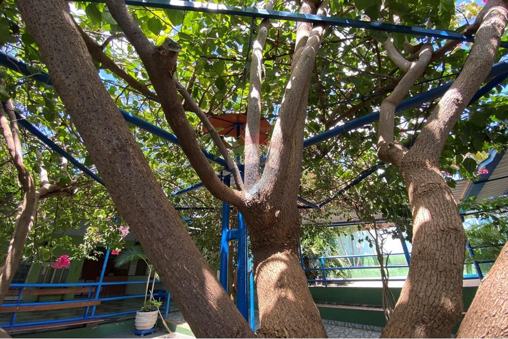 Casa - Venda - Mogi Guaçu , São Paulo - IMG_9942.jpg - 690751017-150