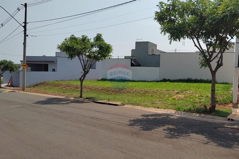 Terreno - Venda - Paulínia , São Paulo - PHOTO-2025-03-18-18-43-58.jpg - 690511140-12