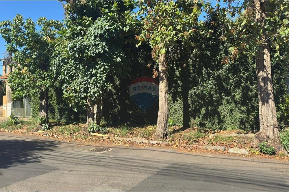 Terreno - Venda - Campinas , São Paulo - WhatsApp Image 2025-12-03 at 16.58.41.jpeg - 690331001-157