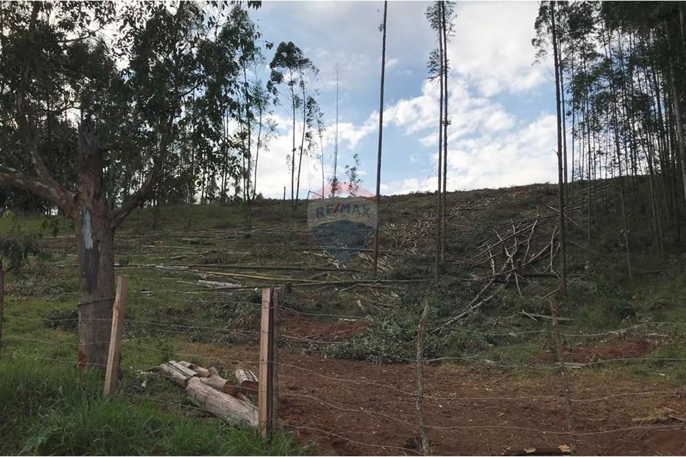 Chácara / Sítio / Fazenda - Venda - Socorro , São Paulo - IMG-20250520-WA0045.jpg - 690291056-39